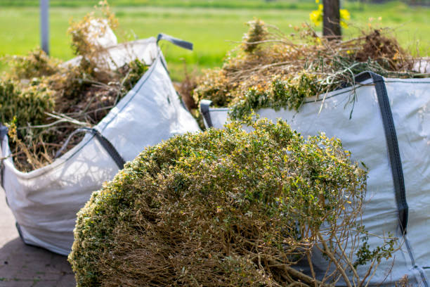 Best Garage Cleanout Services  in Perry, IA